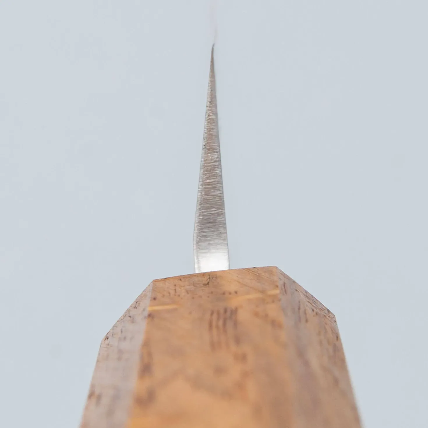 Tsunehisa AUS8 Yanagiba 24 cm