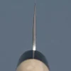 Tsunehisa Ginsan Nashiji Santoku