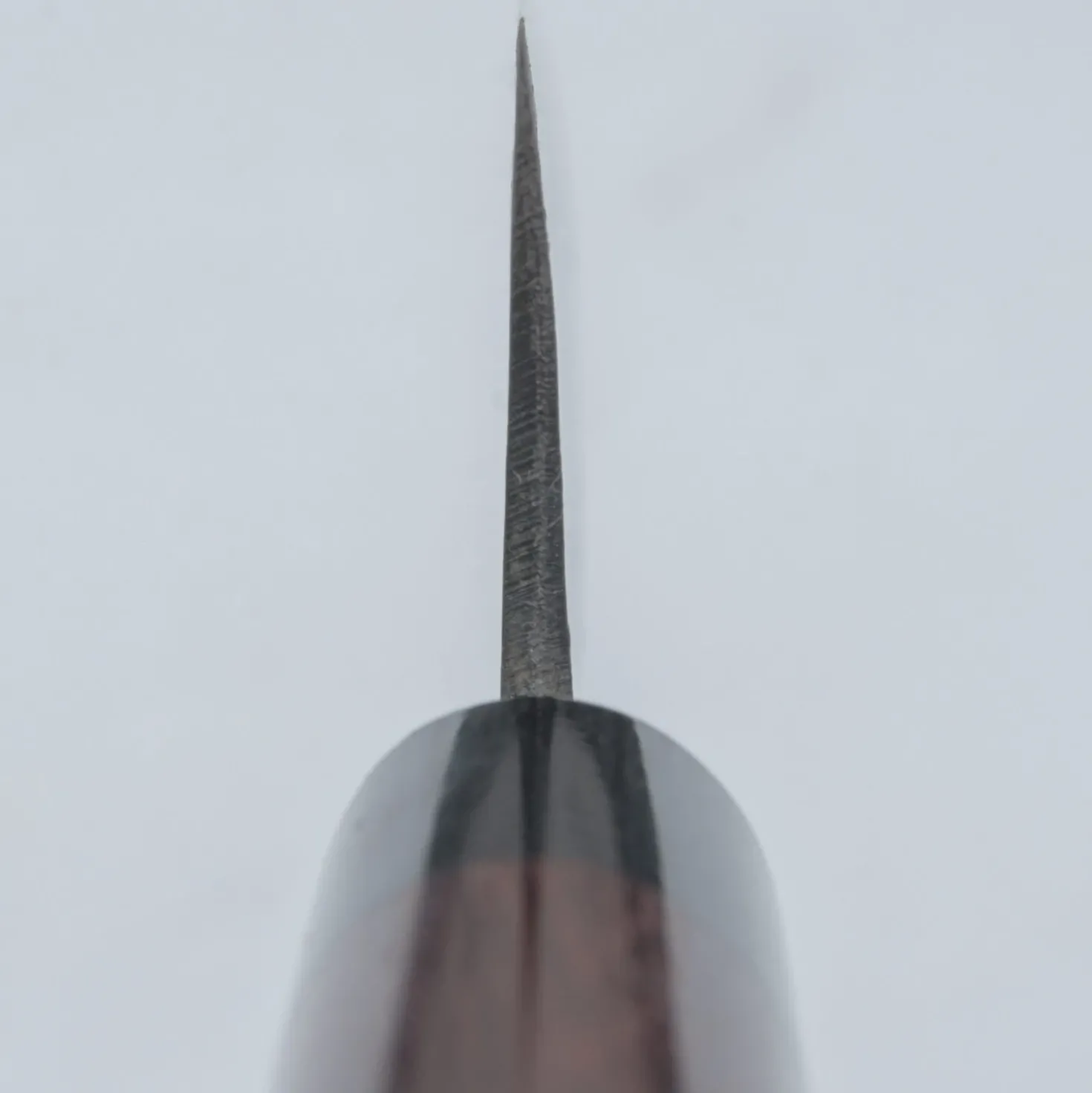 Tsunehisa Shirogami Kurouchi Tosa Bunka 16.5 cm