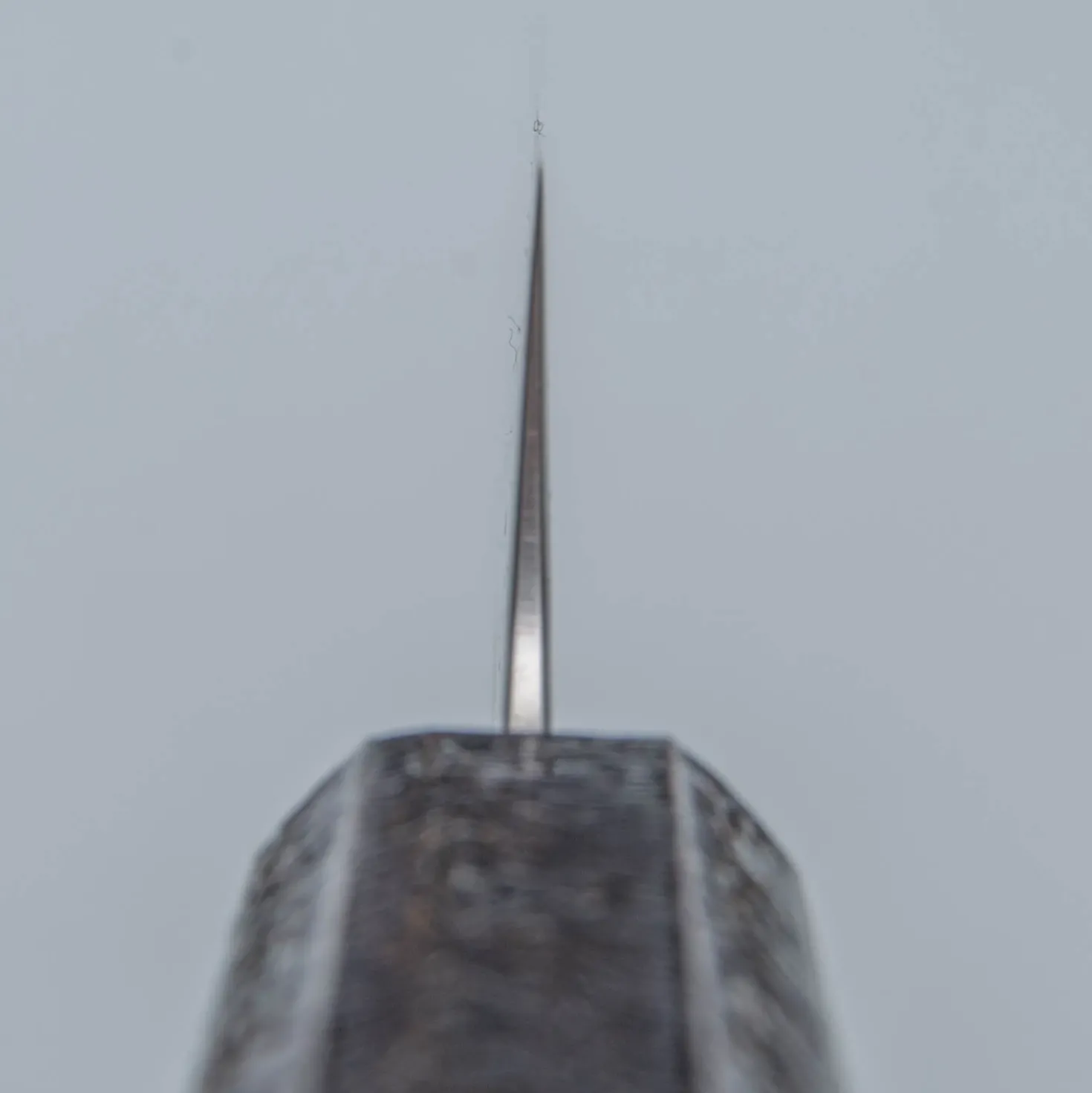 Tsunehisa Shirogami Lacquered Sujihiki 24 cm
