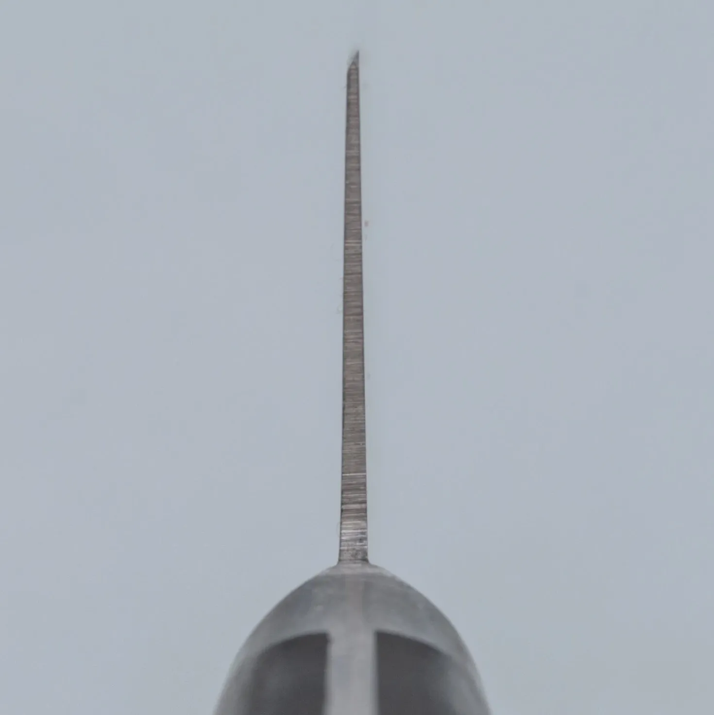 Tsunehisa SK5 Carbon Gyuto 21 cm