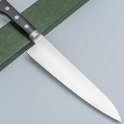Tsunehisa SK5 Carbon Gyuto 21 cm