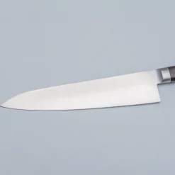 Tsunehisa SK5 Carbon Gyuto 21 cm