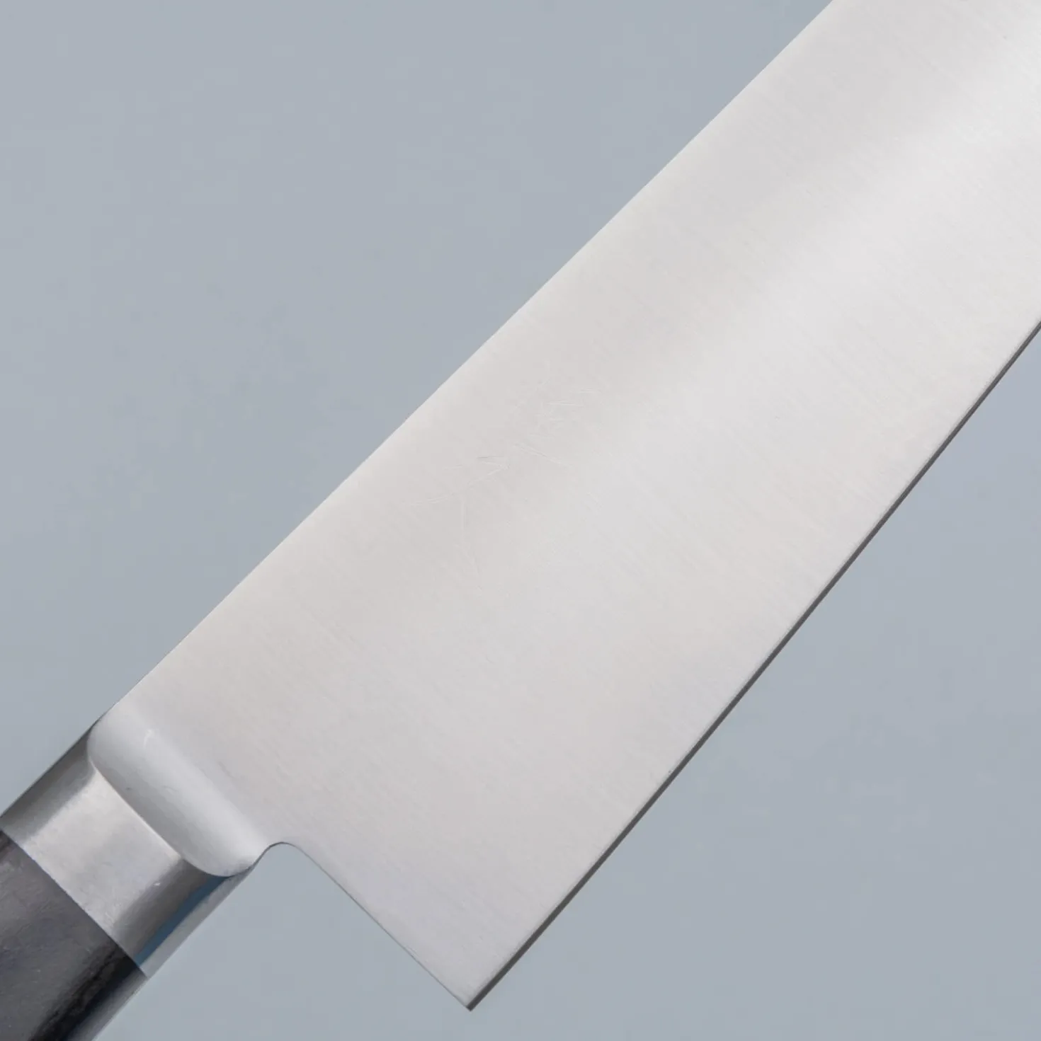 Tsunehisa SK5 Carbon Gyuto 21 cm