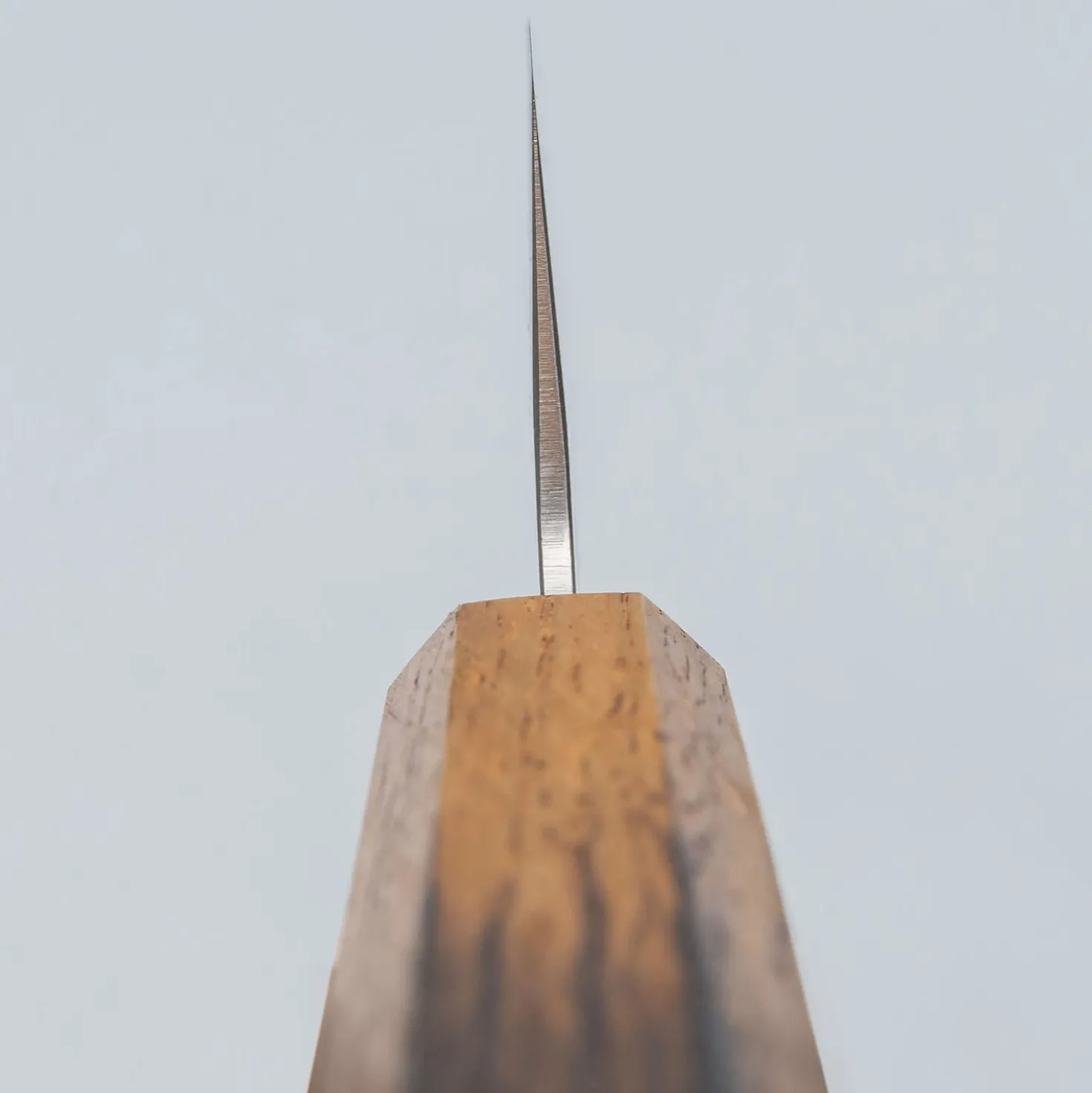 Tsunehisa SLD Nashiji Gyuto 21 cm
