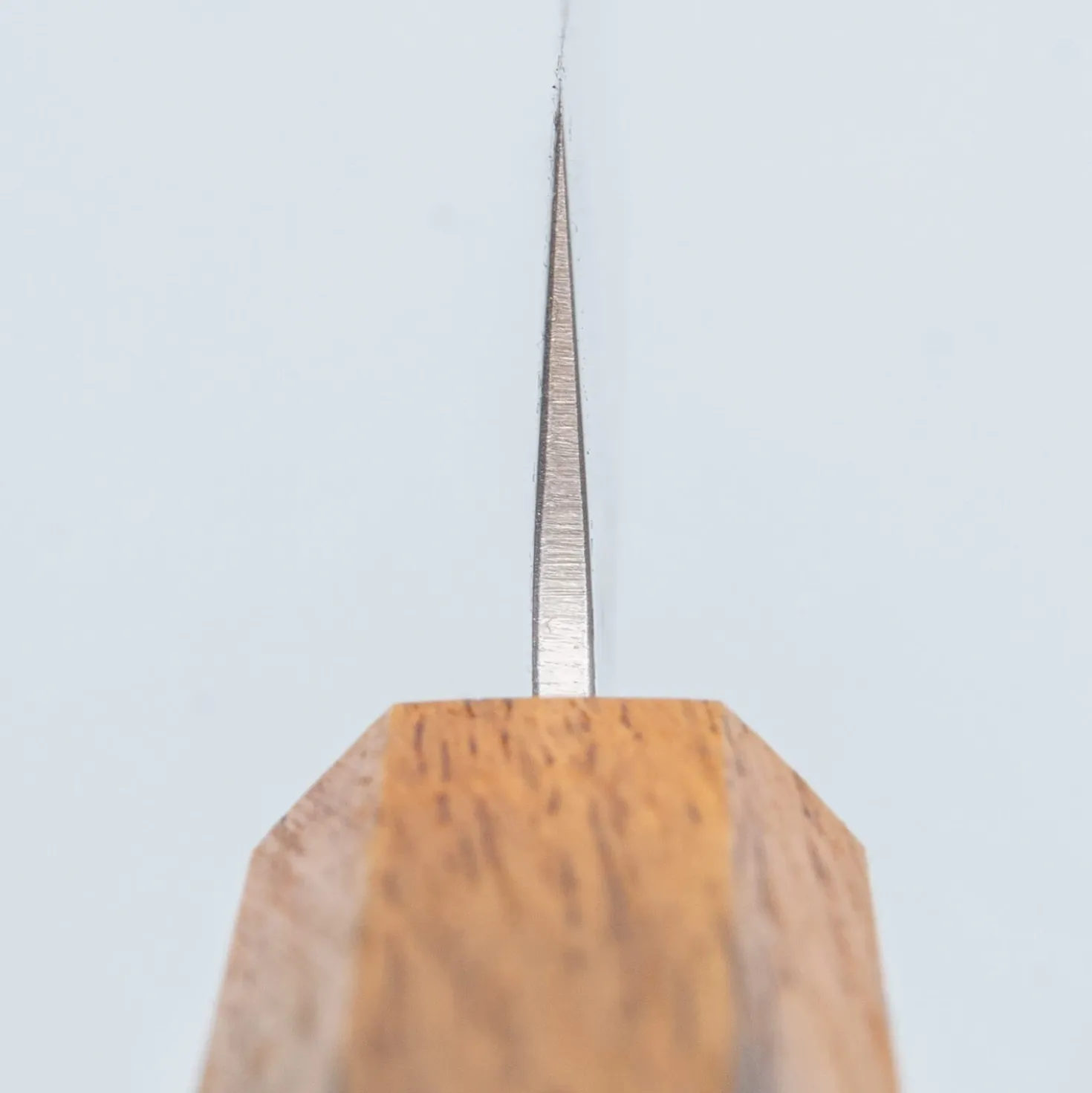 Tsunehisa SLD Nashiji Sujihiki 24 cm