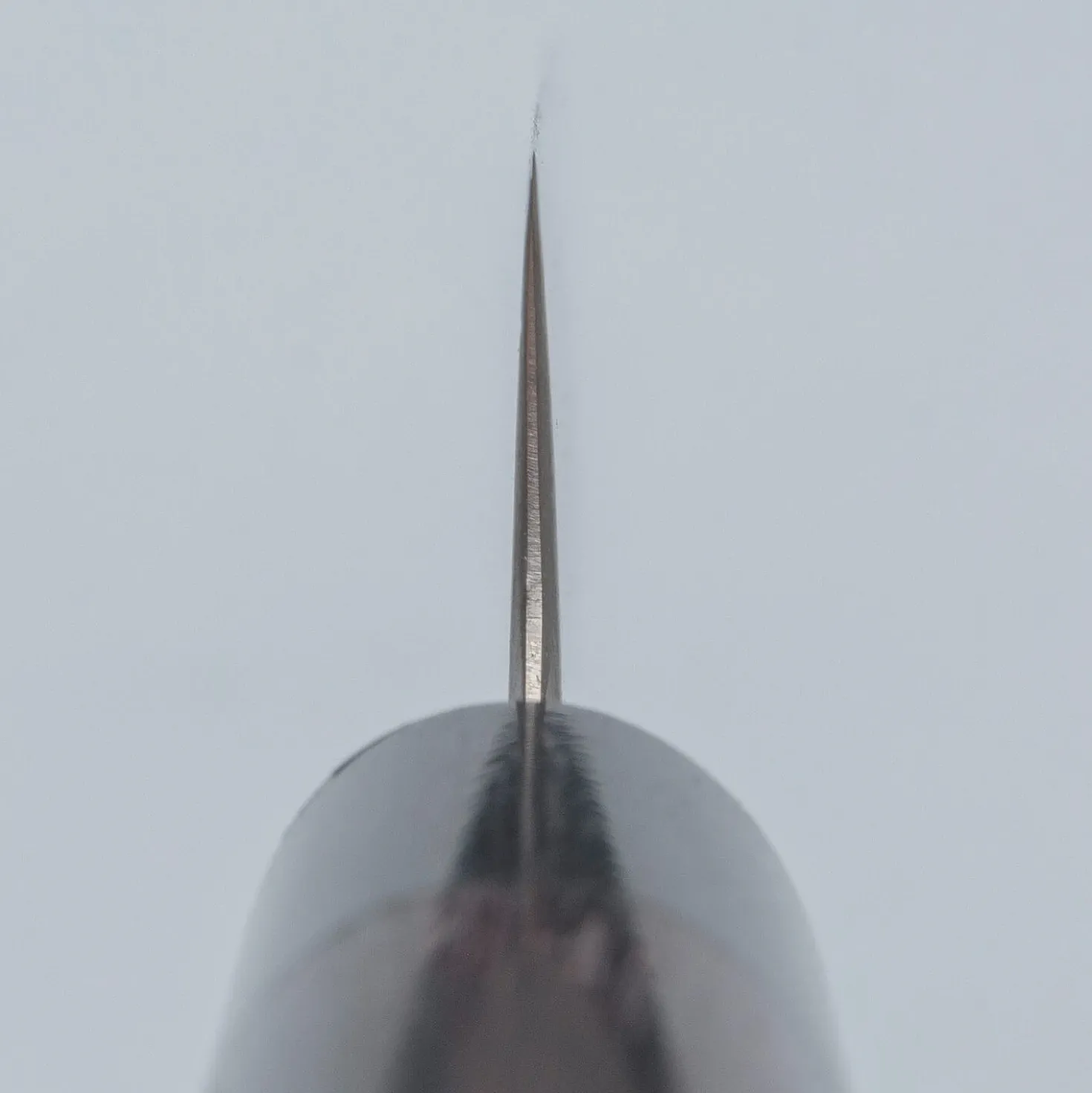 Tsunehisa SRS13 Migaki Sujihiki 24 cm