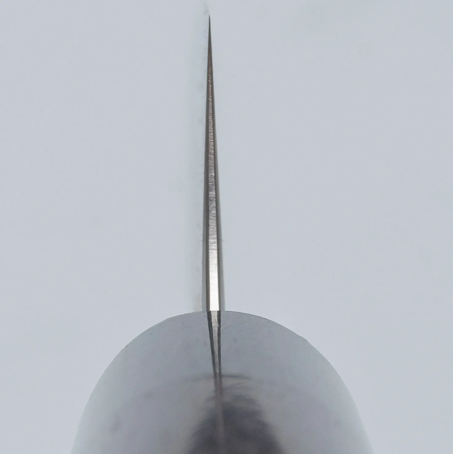 Tsunehisa SRS13 Migaki Sujihiki 27 cm