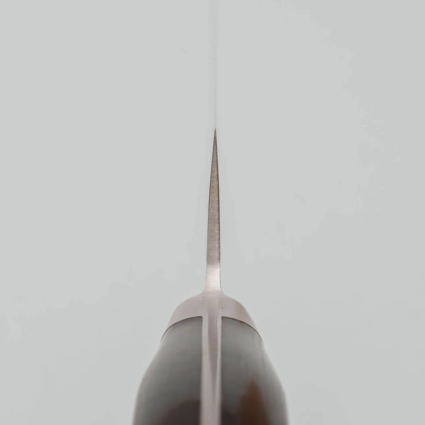 Tsunehisa SRS13 Migaki Western Sujihiki 24 cm