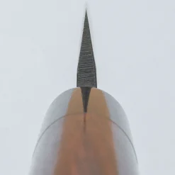 Tsunehisa Tosa Aogami Kurouchi Sakimaru 27 cm