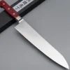 Tsunehisa VG-10 Damast 33 Layer Gyuto 24 cm
