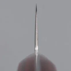 Tsunehisa VG-10 Damast 33 Layer Gyuto 24 cm