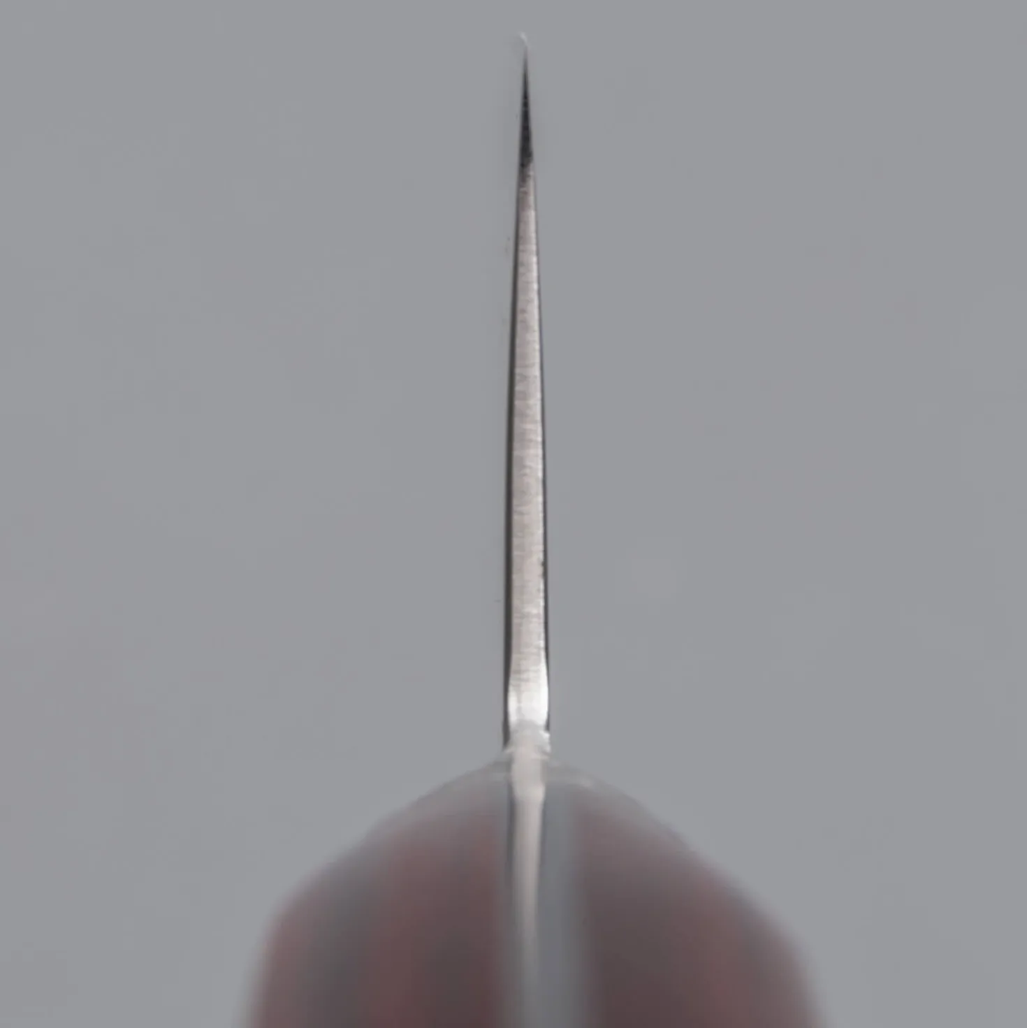 Tsunehisa VG-10 Damast 33 Layer Gyuto 24 cm