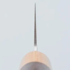 Tsunehisa VG1 Monosteel Gyuto 21 cm