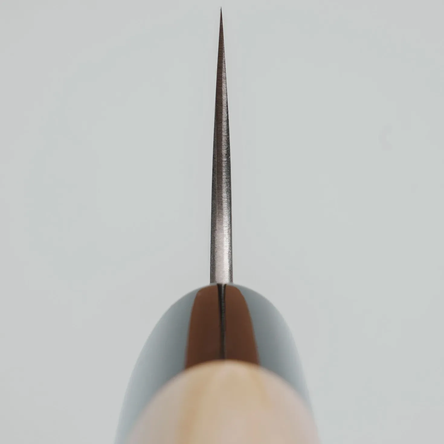 Wakui Aogami #2 Migaki Gyuto 21 cm