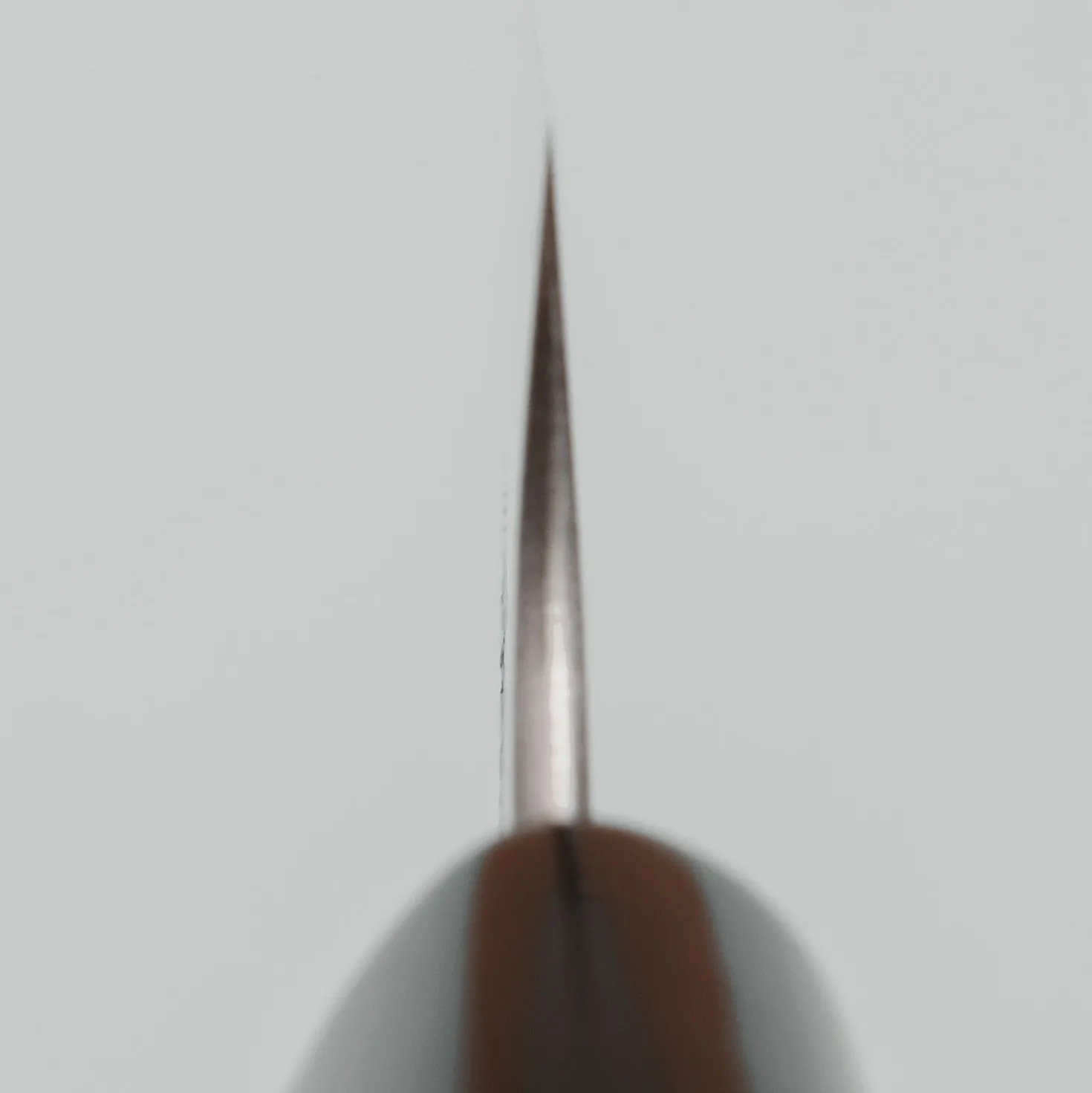 Wakui Aogami#2 Migaki Petty 15 cm