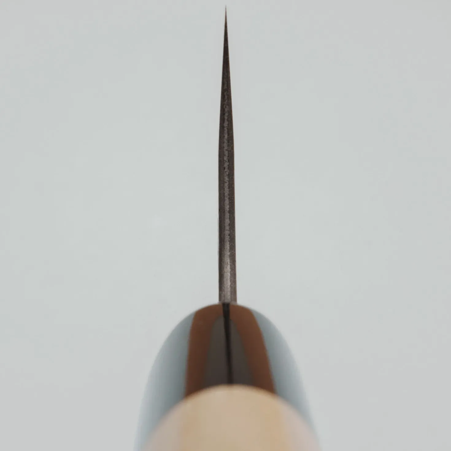 Wakui Shirogami #2 Kurouchi Santoku 16 cm