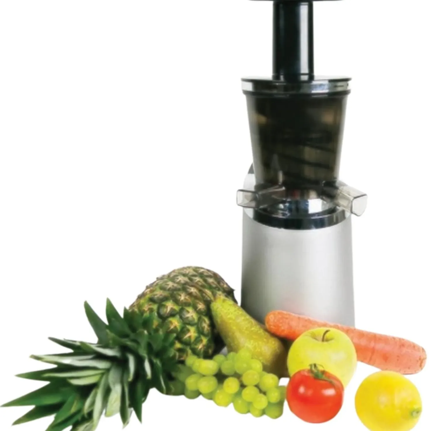 Wartmann Slowjuicer RVS WM-1504