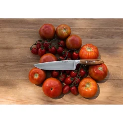 Wusthof Amici Koksmes 20 cm