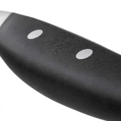 Wusthof Epicure Slate Tomatenmes 14 cm