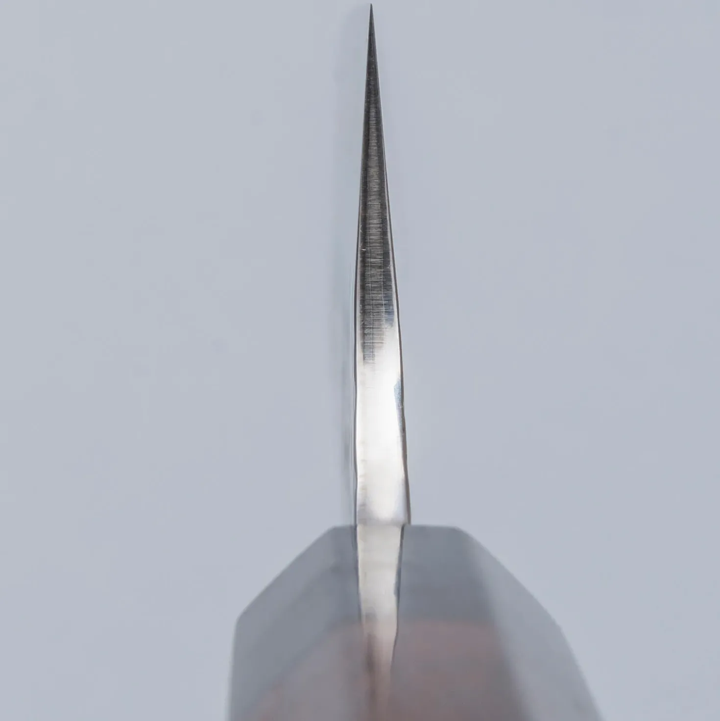 Yu Kurosaki Fujin SG2 Rosewood Gyuto 24 cm