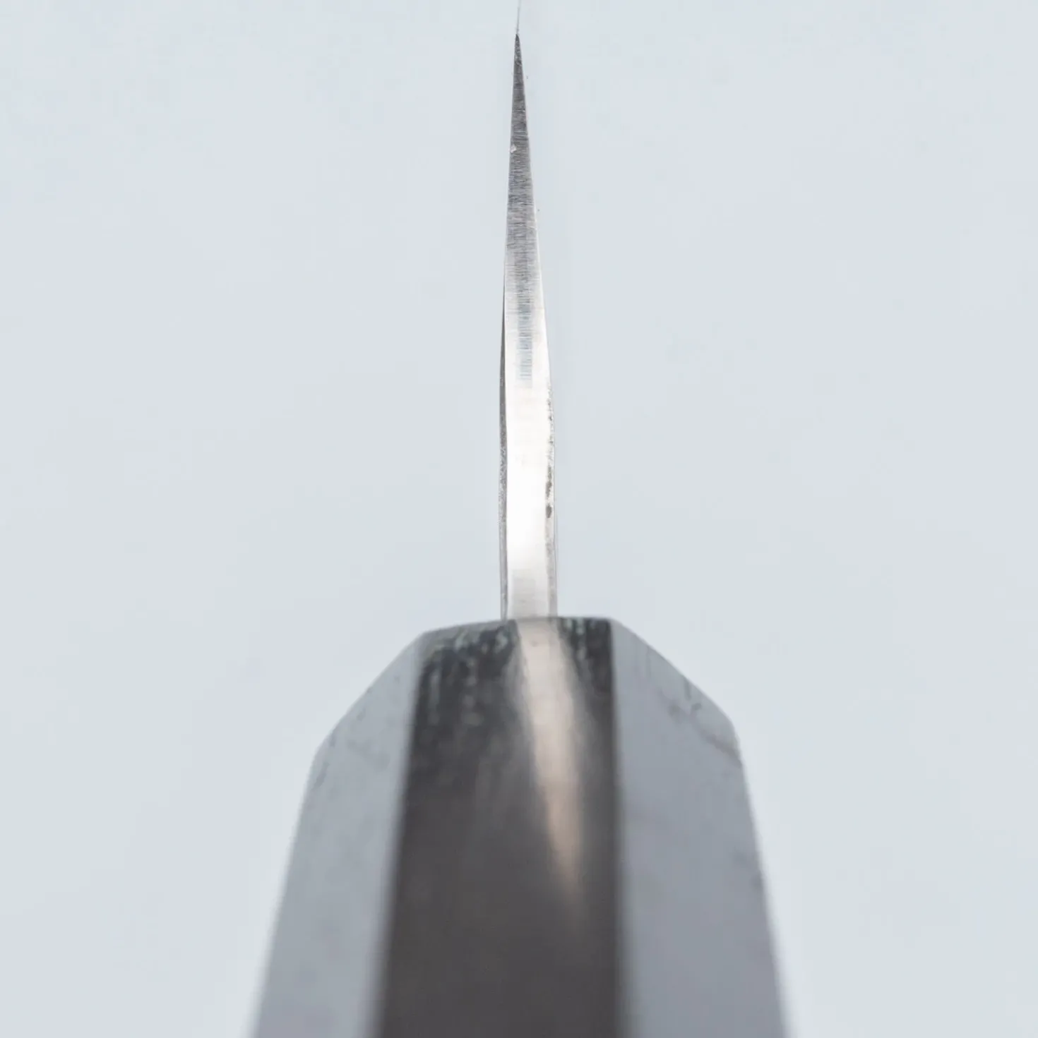 Yu Kurosaki Senko Ei Ebony Petty 15 cm