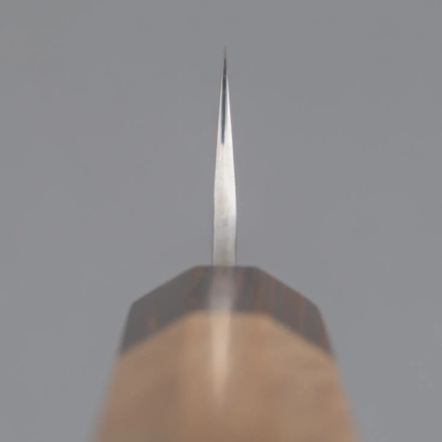 Yu Kurosaki Senko Ei Oak Wenge Petty 15 cm