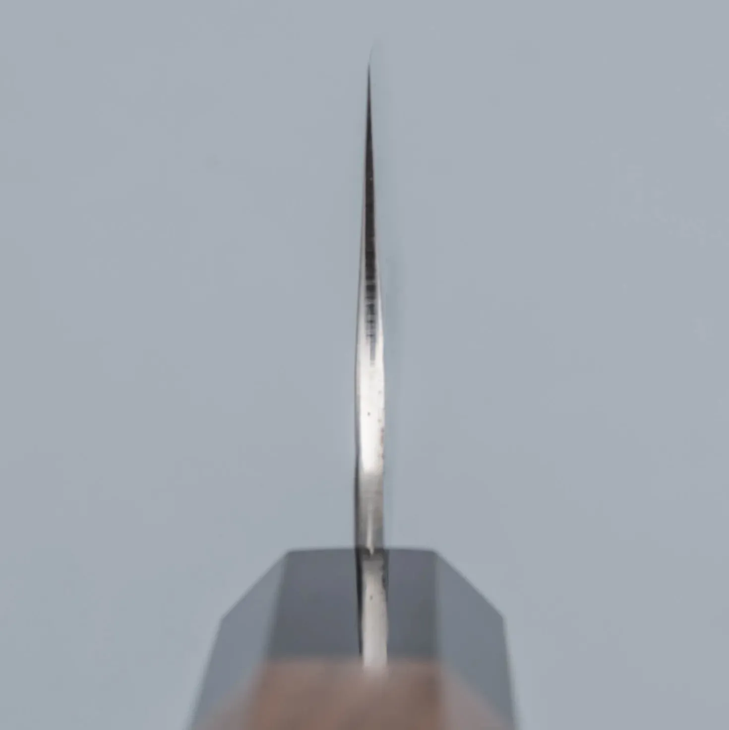 Yu Kurosaki Senko Ei Walnut Bunka 17 cm