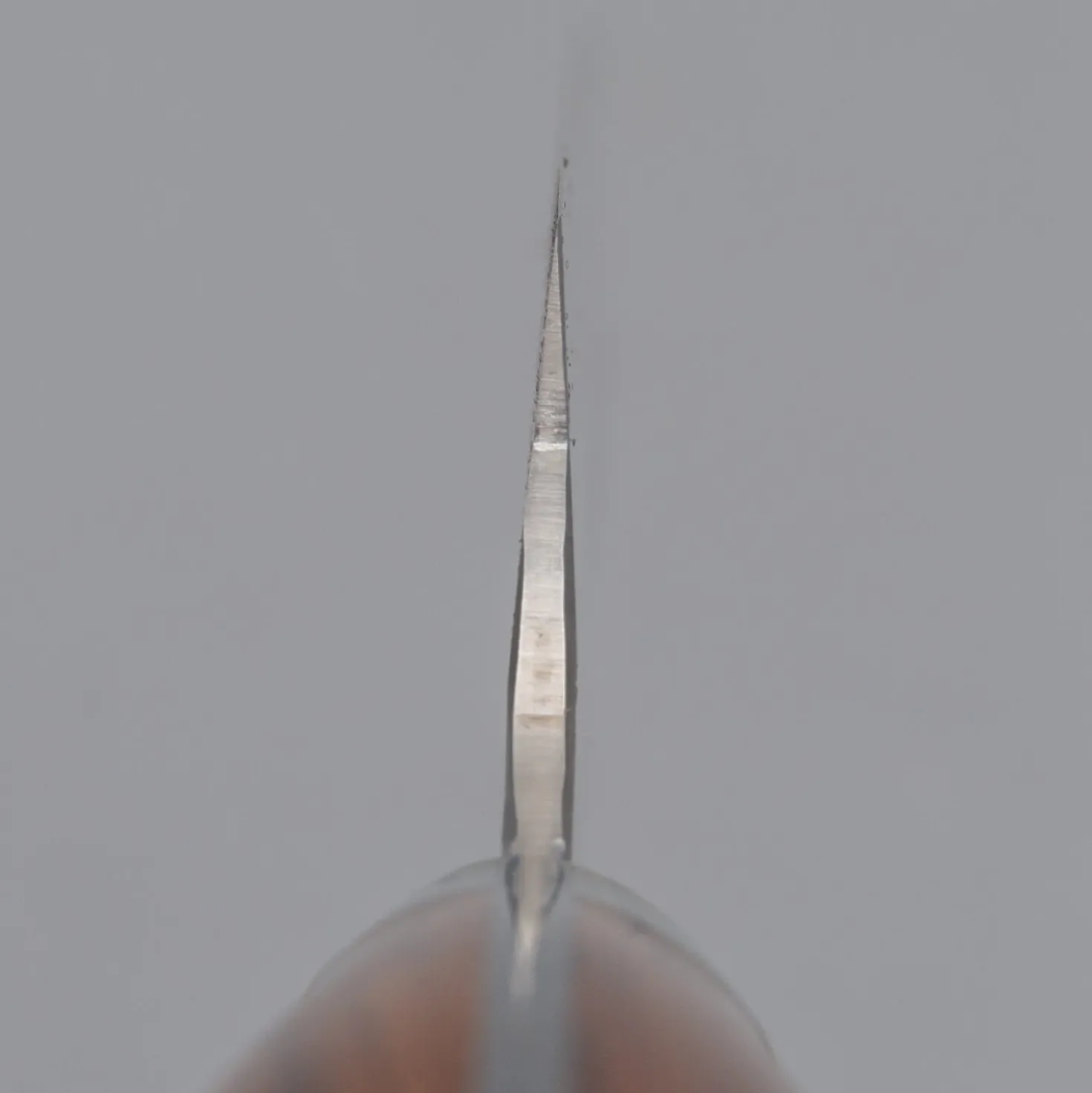 Yu Kurosaki Senko Ironwood Sujihiki 24 cm