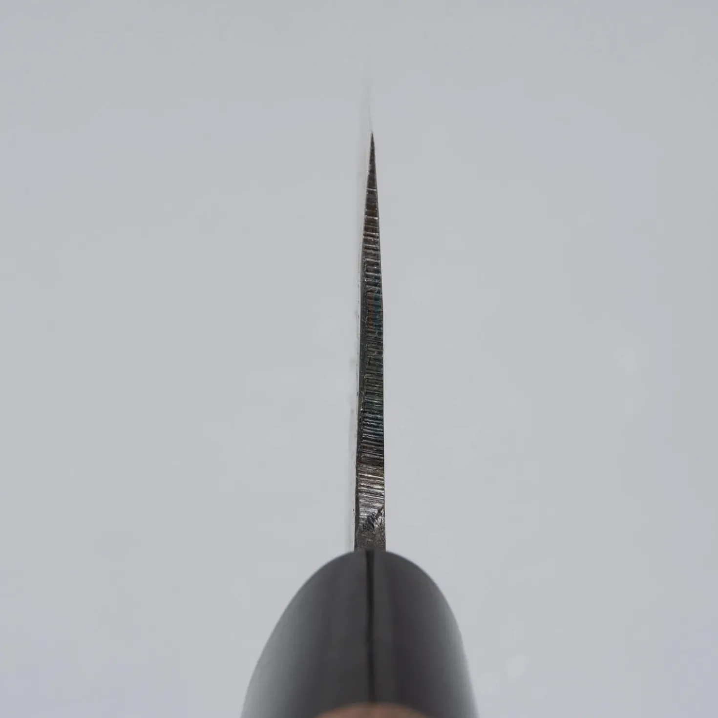 Zakuri Aogami #2 Gyuto 24 cm