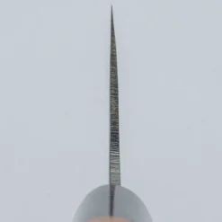 Zakuri Aogami Super Gyuto 24 cm