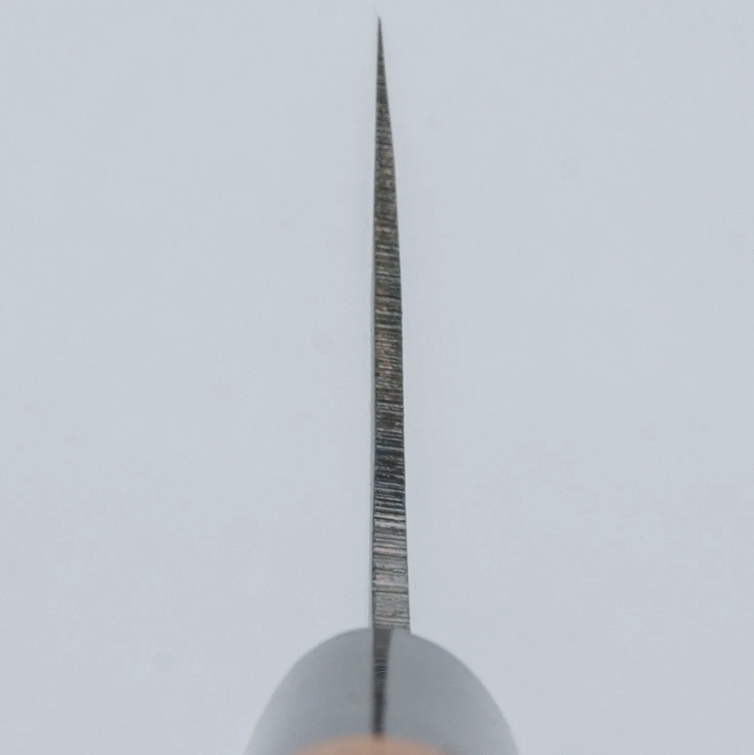 Zakuri Aogami Super Gyuto 24 cm